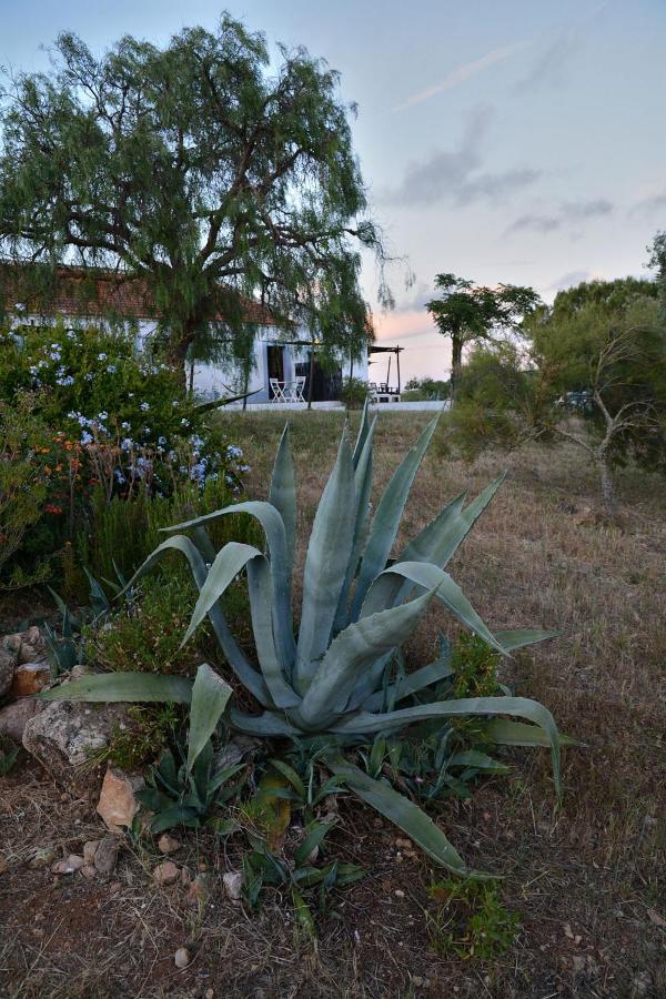 Vila Monte da Casteleja Lagos Exteriér fotografie
